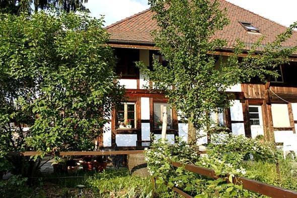 Apartments Saba & Jona Uetendorf Ngoại thất bức ảnh